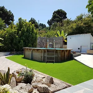 Ciruelos Villa Icod De Los Vinos